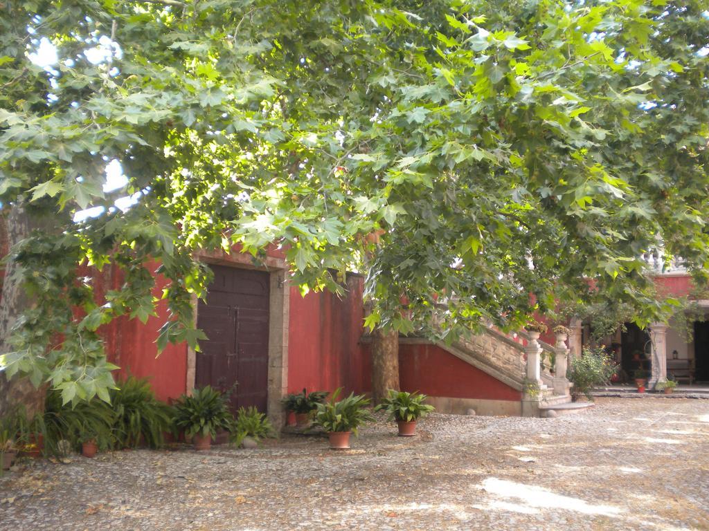 Bed and Breakfast Casa Dos Vargos à Torres Novas Extérieur photo
